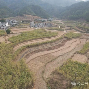 ����̵㡤����2024 ���󻯣���ǿ�߱�׼ũ�ｨ�� ��ʵũҵ��չ��������