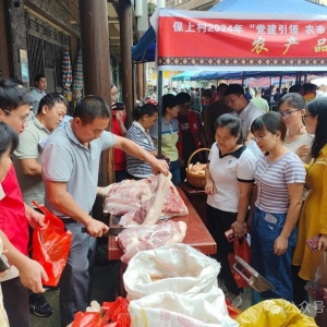 ����̵㡤����2024 ����ȫ��������������Ч��