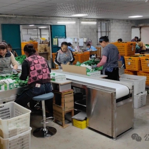 ʵ��ΪҪ ������չح����������ҩ���޹�˾���ں󸴹������� ������չ��ƪ��