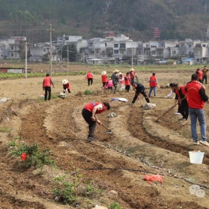 �����磺����һ�ߵ�����  ���ᡱ����ҵչ����