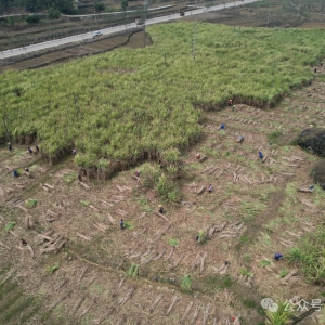 ʵ��ΪҪ ������չح���ᴺ�մ���æ