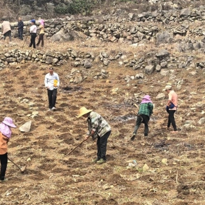 ����ӳ�촺��· ��Ұ���ü�����