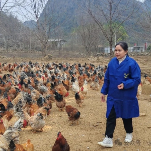 ����������׷���� ���ʽ���ڼ��������̾���ϴ�ҵ·