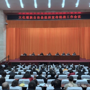 ���ٿ���֯����ͳս��������