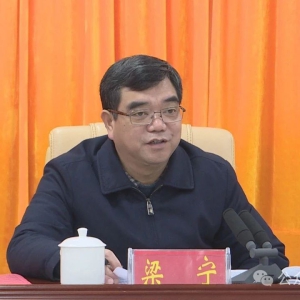 ���������ٿ�2024����磨�򣩵�ί��Ǻ���ֱ����������ί�����ʵ������������������ ...