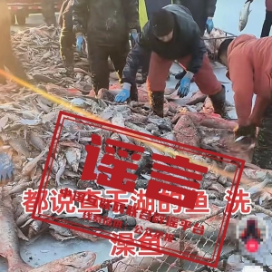 ���ձ�ҥ��2025��3��10�գ�