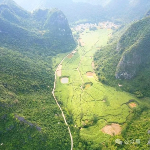 ������� ����Ҳ�硰����������뢻���������¾�