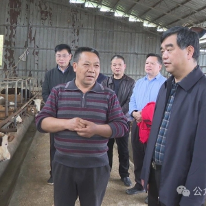 �����������������ҵ��չ����