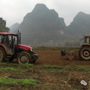 ����壬�����ִ���������