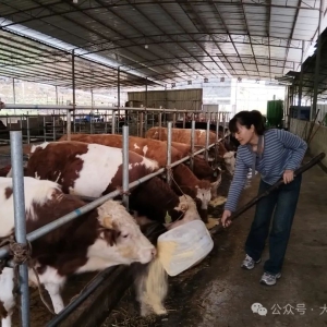 �󻯰��� ��¬�ʺ죺��ɽ���ˡ���ͷ�㡱���ƾ�֮��