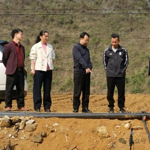 ��ʤ����һ����ũҵ�����������