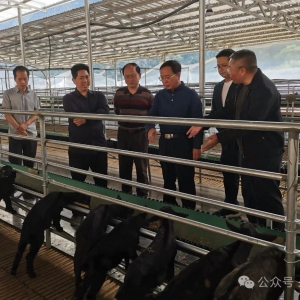 ��ʤ��������ҵ��߱�׼ũ�ｨ��