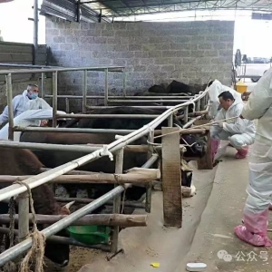 �����磺��չ������߹��� ��������ҵ������չ