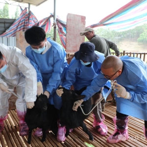 �ߴ崮������Ǯ���� �󻯴������롱����