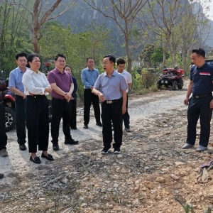 ��ʤ���п�������ȹ���