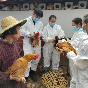 �ź��磺������ֳ������ �ػ����ա�Ǯ���ӡ�