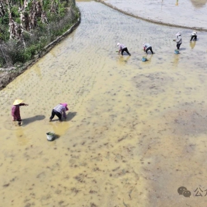 �������ڴ壺��ץʱ����ֲ����ˮ��