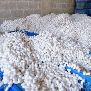 ������� | �����磺�ϼ����ӳЦ�� ��ҵ����������