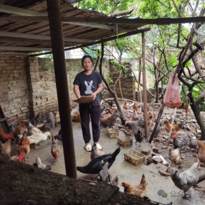 ����Ž���������ץ��ҵ���� �����������