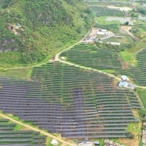 ������� ���й����Ƽ��š����¾���+��֥���Ե���Ŀ������֥ӭ����