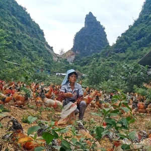 ������� ���ӵط����ز��������ֺš�Ʒ�֡����߰�Ū������ɽ