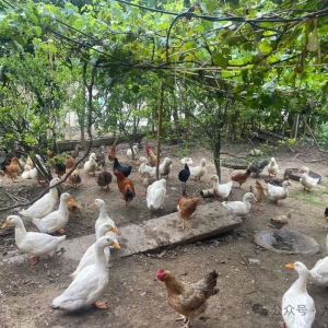 ������� ������ͬ�塱���ۺ��� ��������������