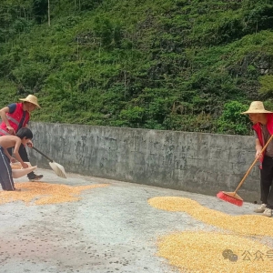 ������� ���߰�Ū��Ūƽ�壺��������ů���� ������ְ�Ե���