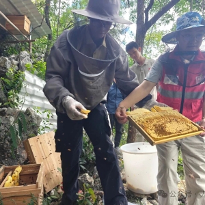 ������� ��700����ۡ����ۡ����֣����ư����������ɫ��ֳ�����¸�·