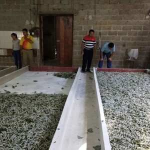 ������� �������磺��ɫ���� ����ҵ�� �� �̾�Ⱥ���¸�·