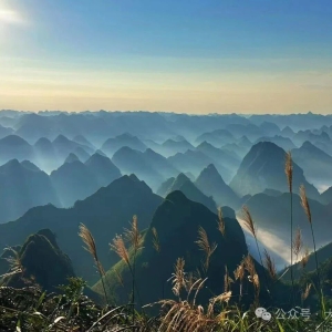 ����Է ��Τ���飺�Ĺ��߰�Ū��ɢ�ģ�