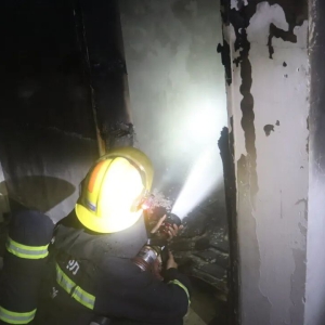 �����ֳ��䡰���á� ��������������롱